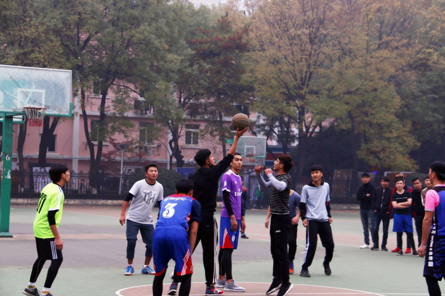 08.JPG